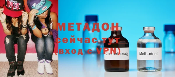 прущие грибы Заволжье