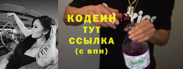 прущие грибы Заволжье