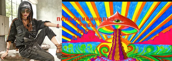 прущие грибы Заволжье