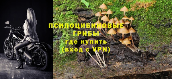 дмт Зерноград