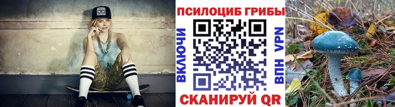 Галлюциногенные грибы ЛСД  Купить где  Кадников 
