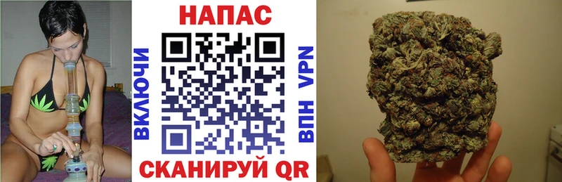 Купить закладки  Кадников  Марихуана сатива 